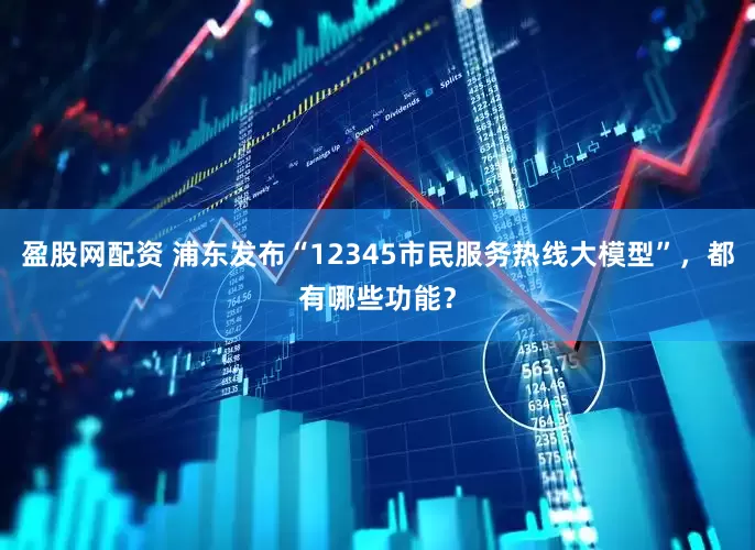 盈股网配资 浦东发布“12345市民服务热线大模型”，都有哪些功能？