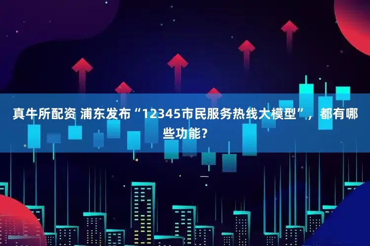 真牛所配资 浦东发布“12345市民服务热线大模型”，都有哪些功能？