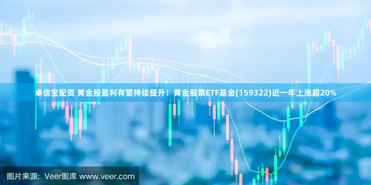 卓信宝配资 黄金股盈利有望持续提升！黄金股票ETF基金(159322)近一年上涨超20%