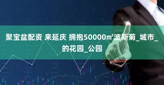聚宝盆配资 来延庆 拥抱50000㎡波斯菊_城市_的花园_公园